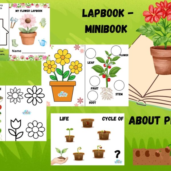 Lapbook - Miniknižka o rastlinkách -angličtina/EN